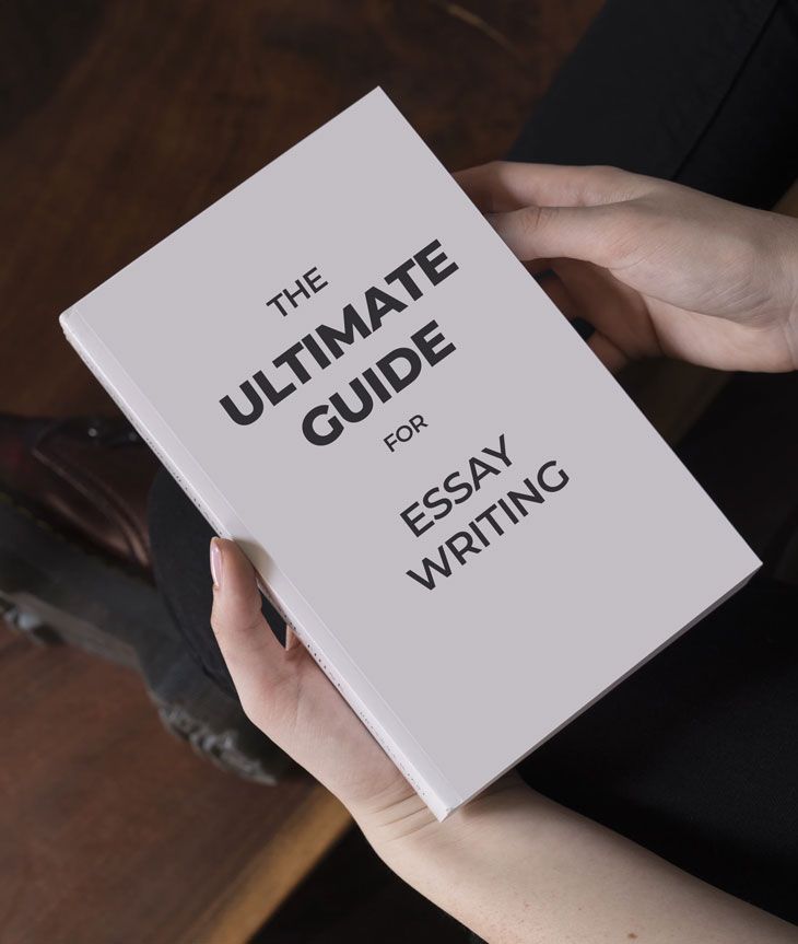 dummies guide to essay writing